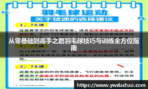 从零基础到高手之路羽毛球技巧与训练全方位指南